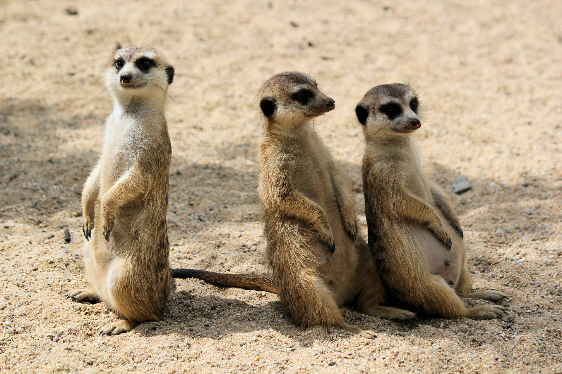 Zoo Neuwied 
